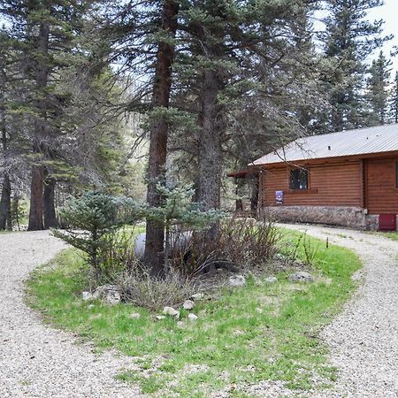 Bear Bait Cabin In Upper Valley With High Speed Wifi Ред Ривър Екстериор снимка