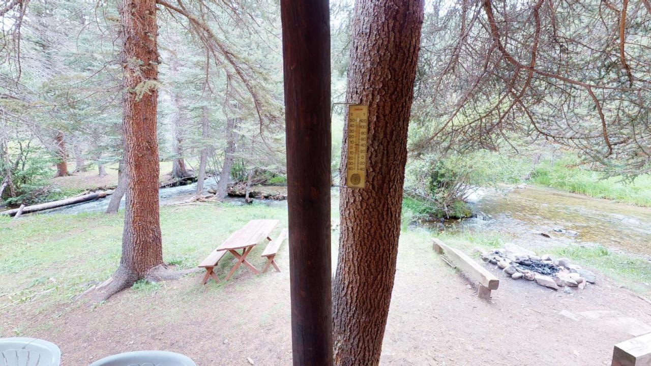 Bear Bait Cabin In Upper Valley With High Speed Wifi Ред Ривър Екстериор снимка
