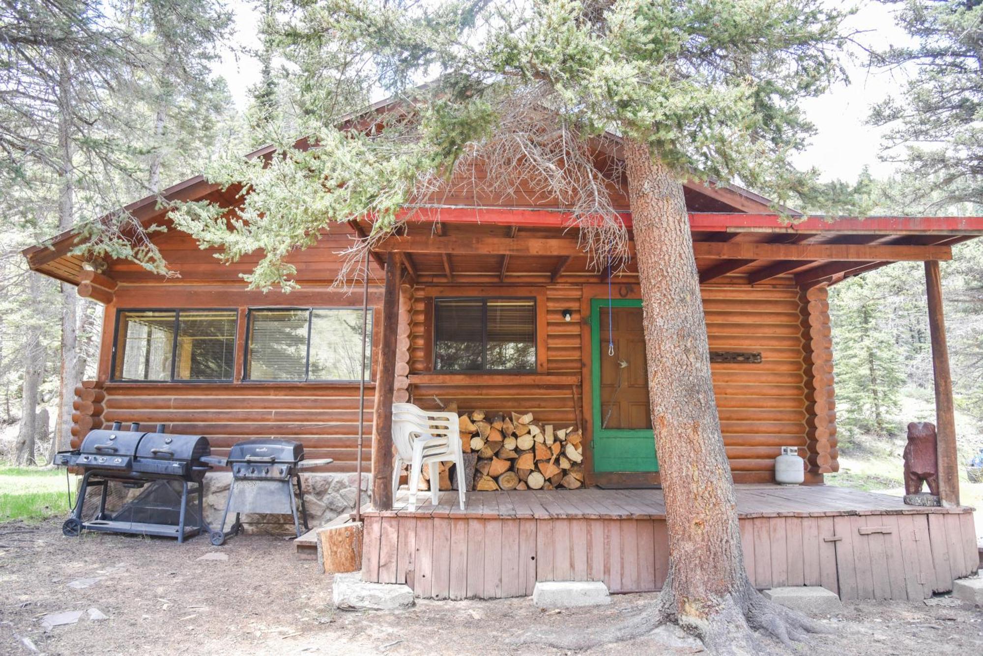 Bear Bait Cabin In Upper Valley With High Speed Wifi Ред Ривър Екстериор снимка