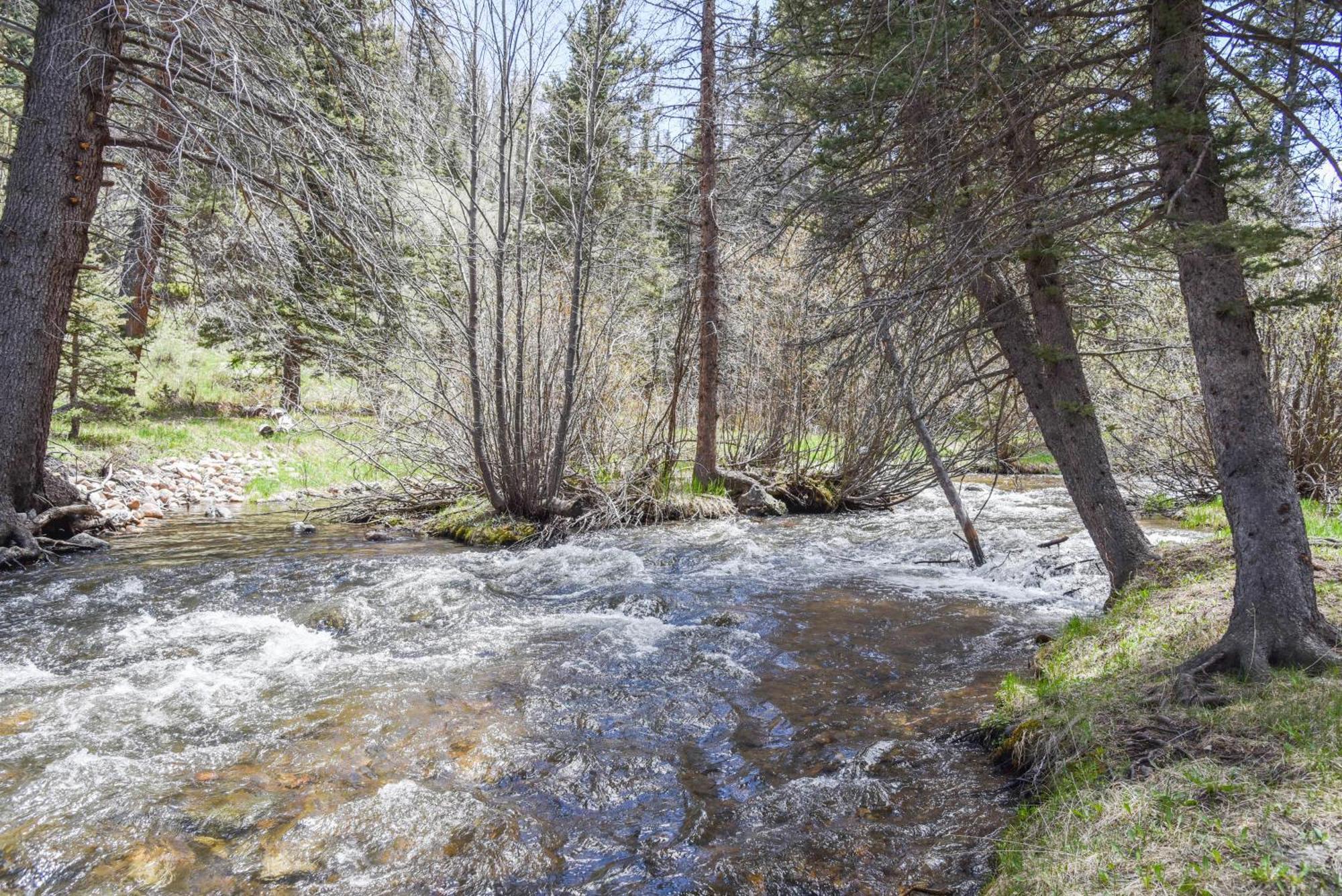 Bear Bait Cabin In Upper Valley With High Speed Wifi Ред Ривър Екстериор снимка