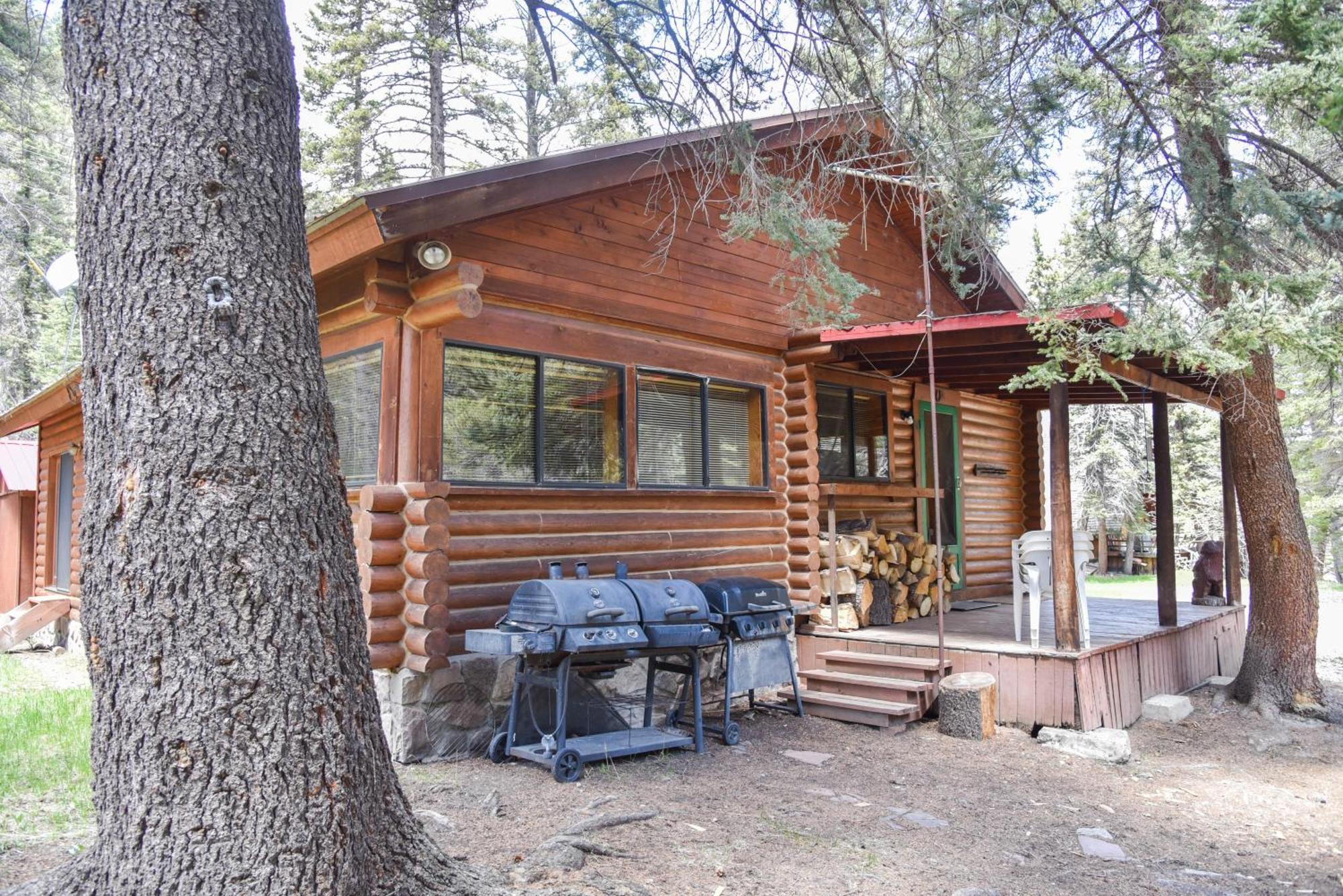Bear Bait Cabin In Upper Valley With High Speed Wifi Ред Ривър Екстериор снимка